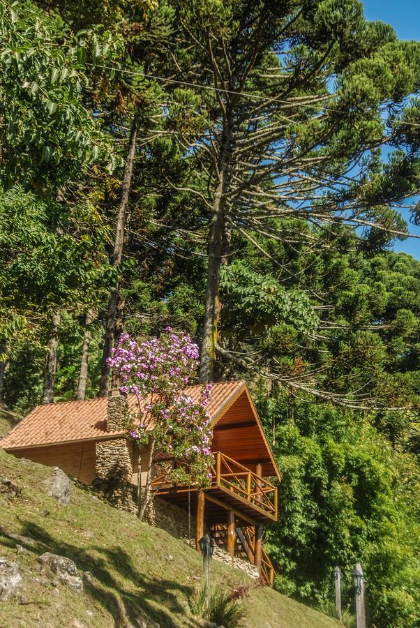 Chales Araucaria E Manaca Villa Sao Bento do Sapucai Exterior photo